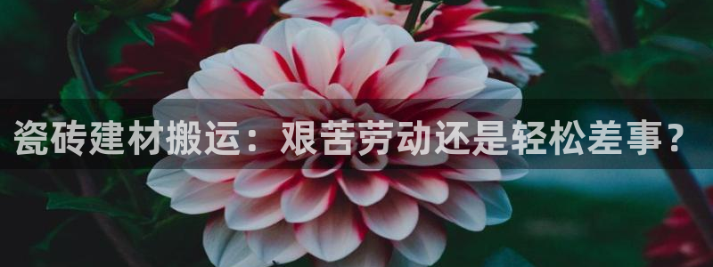杏鑫平台怎么样黑钱吗是真的吗知乎