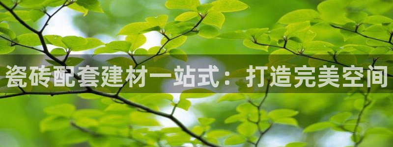 杏鑫娱乐负责人