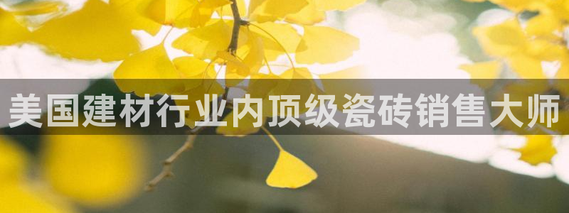 杏鑫平台平台