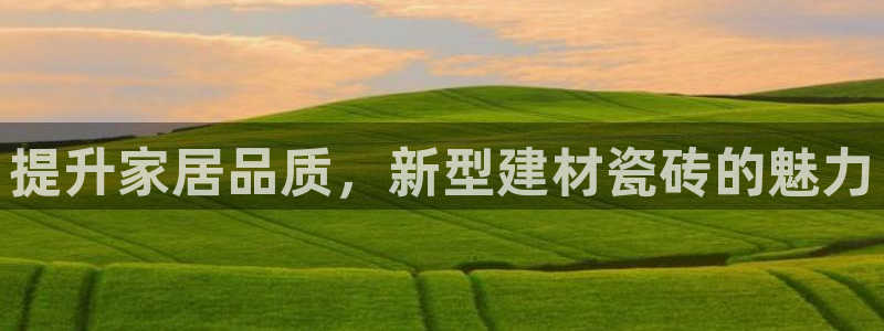杏鑫官方平台怎么样啊