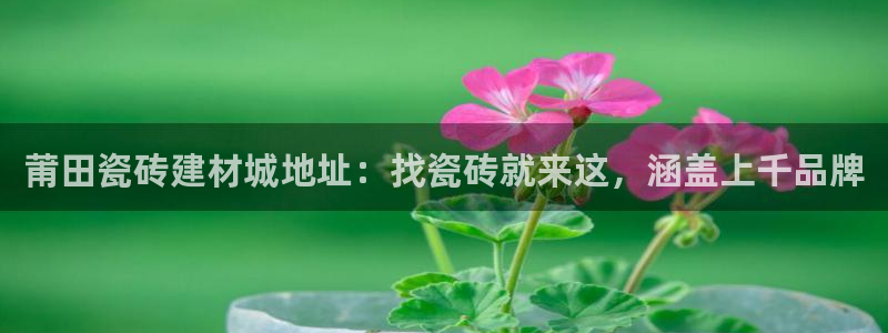 杏鑫娱乐开发团队
