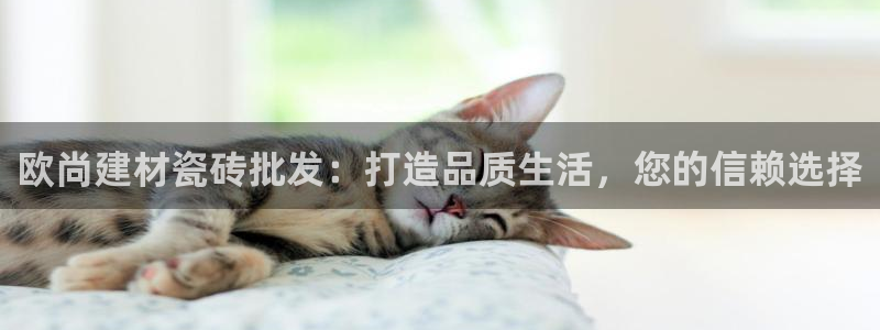 杏鑫官网最新信息新闻