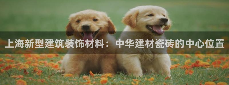 杏鑫有亏损返点吗