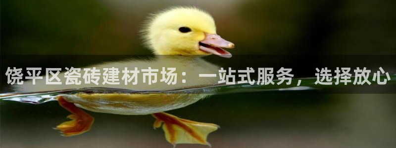 杏鑫招商总代