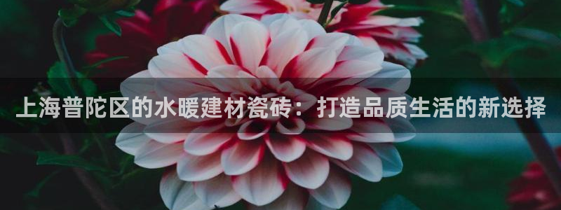 杏鑫娱乐平台