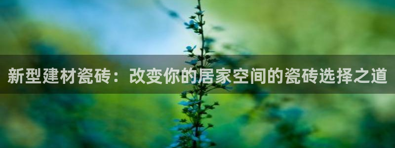 杏鑫平台怎么样