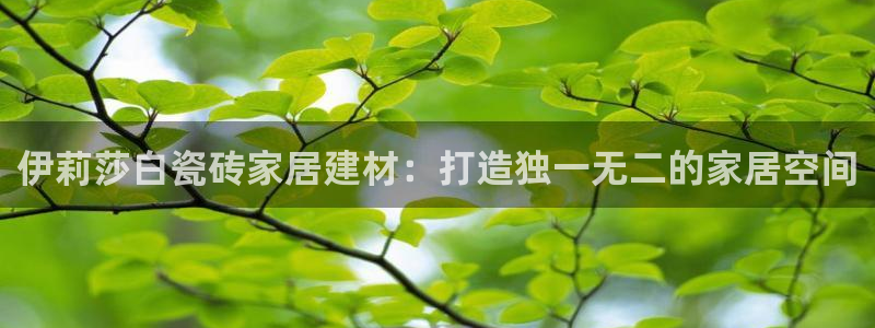 杏鑫官网
