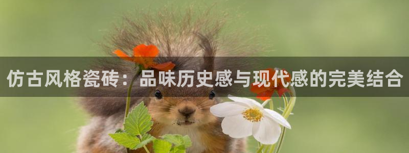 杏鑫平台怎么样黑钱吗安全吗是真的吗