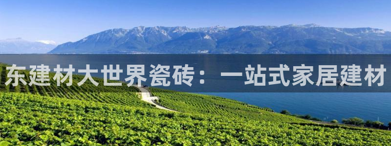 杏鑫娱乐开发团队