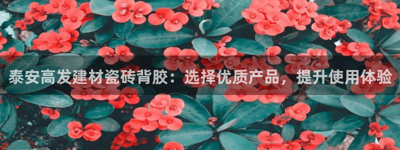 杏鑫平台登陆