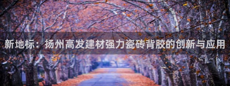 杏鑫平台代理怎么做的