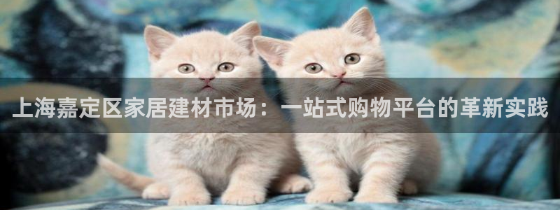 杏鑫平台招商电话号码