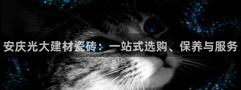 杏鑫娱乐开发团队