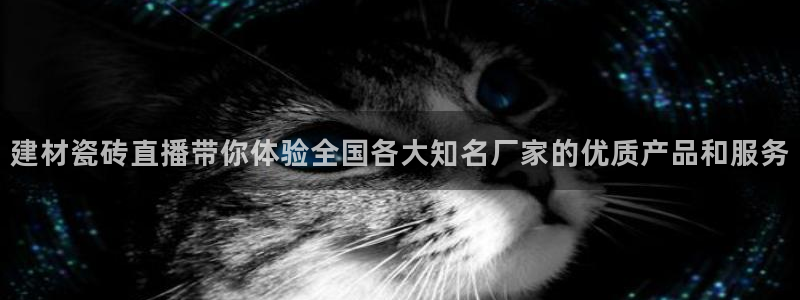 杏鑫官网注册账号怎么注册不了