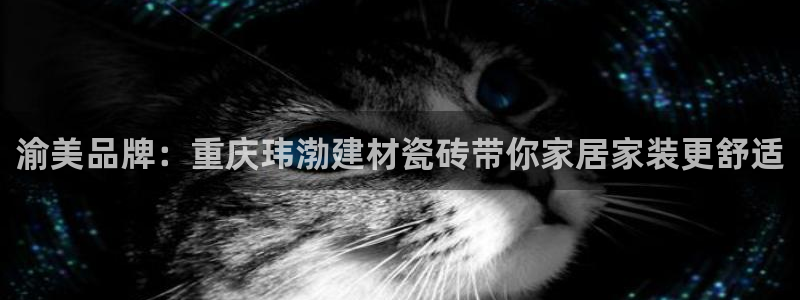 杏鑫平台注册网址是多少