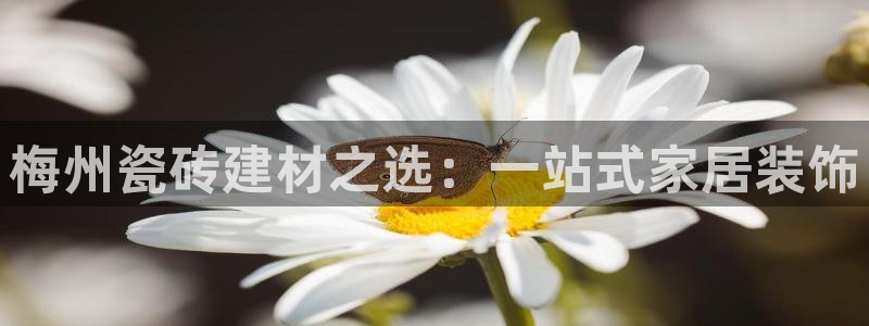 杏鑫平台平台