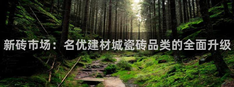 杏鑫平台平台娱乐