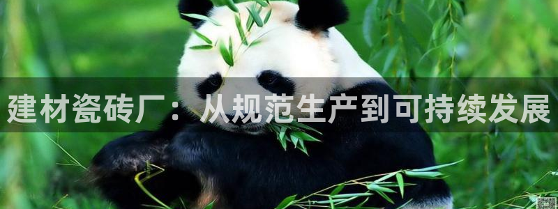 杏鑫手机客户端怎么下载