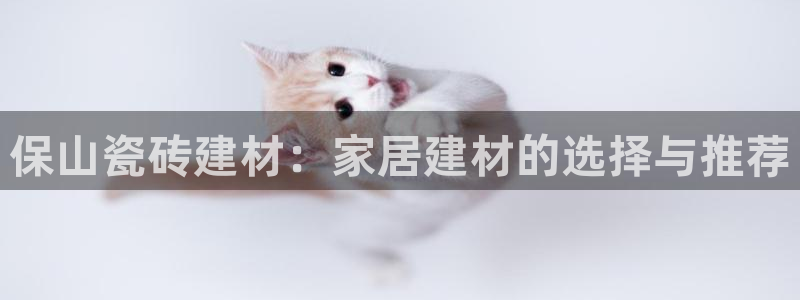 杏鑫娱乐负责人