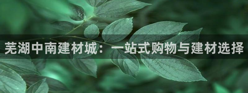 杏鑫娱乐官网首页