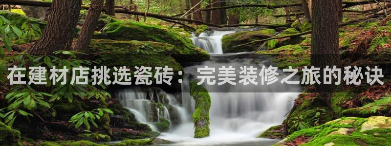 杏鑫平台代理注册流程