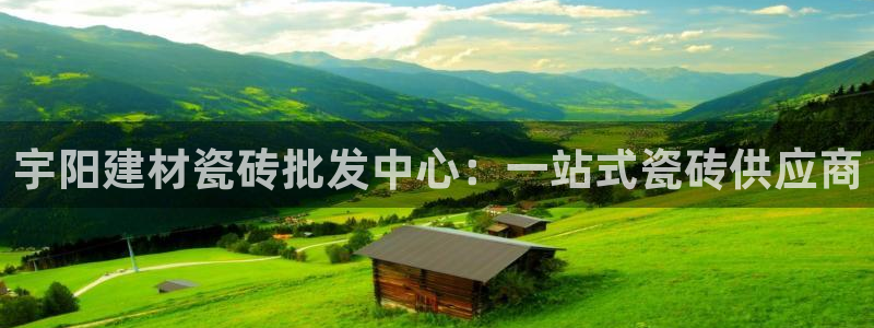 杏鑫平台代理注册流程视频