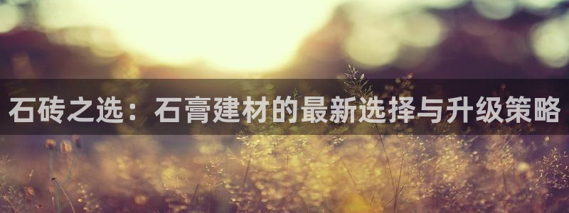 杏鑫平台注册入口在哪