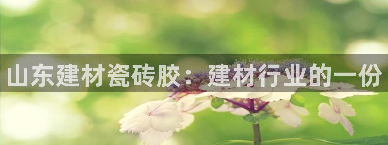 杏鑫平台代理注册多少钱一年