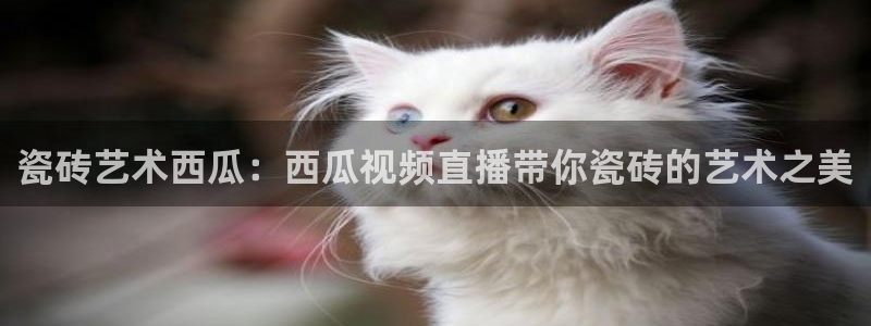 杏鑫平台怎么样黑钱吗是真的吗还是假的