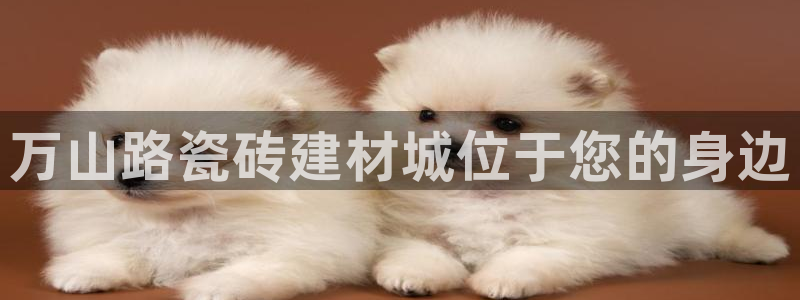 杏鑫注册平台官方网站下载