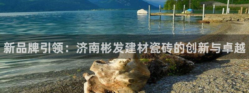 杏鑫平台代理注册多少钱一个