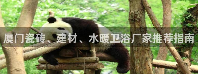 杏鑫平台号7O777