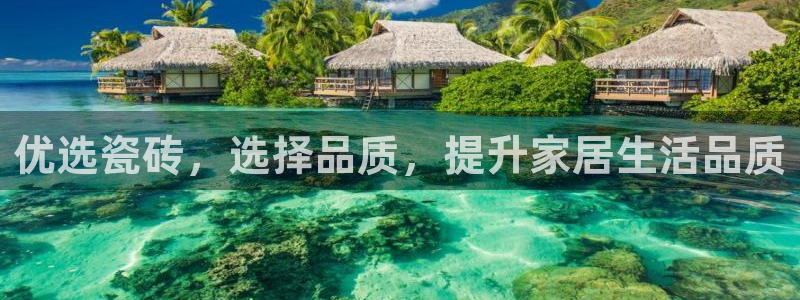 杏鑫平台是黑平台吗知乎